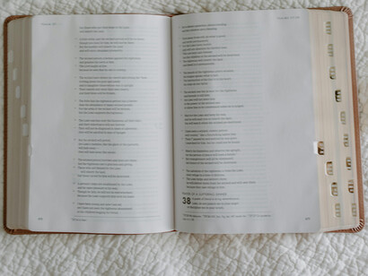 Bible verses open for reading