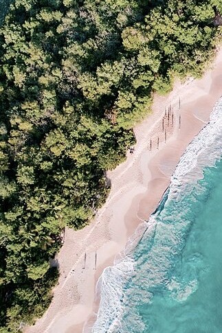 Playa de Les Salines, Martinica