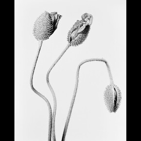 Robert Voit. Courtesy of Galerie Peter Sillem