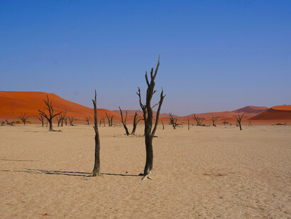 When water systems fail to deliver enough clean water to people, farms, or industry, authorities must impose extreme restrictions or emergency measures