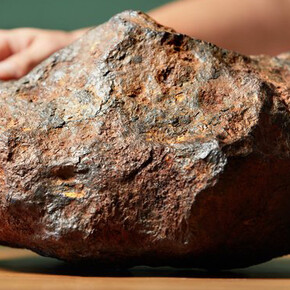 Life in the Universe. Courtesy of NEMO 