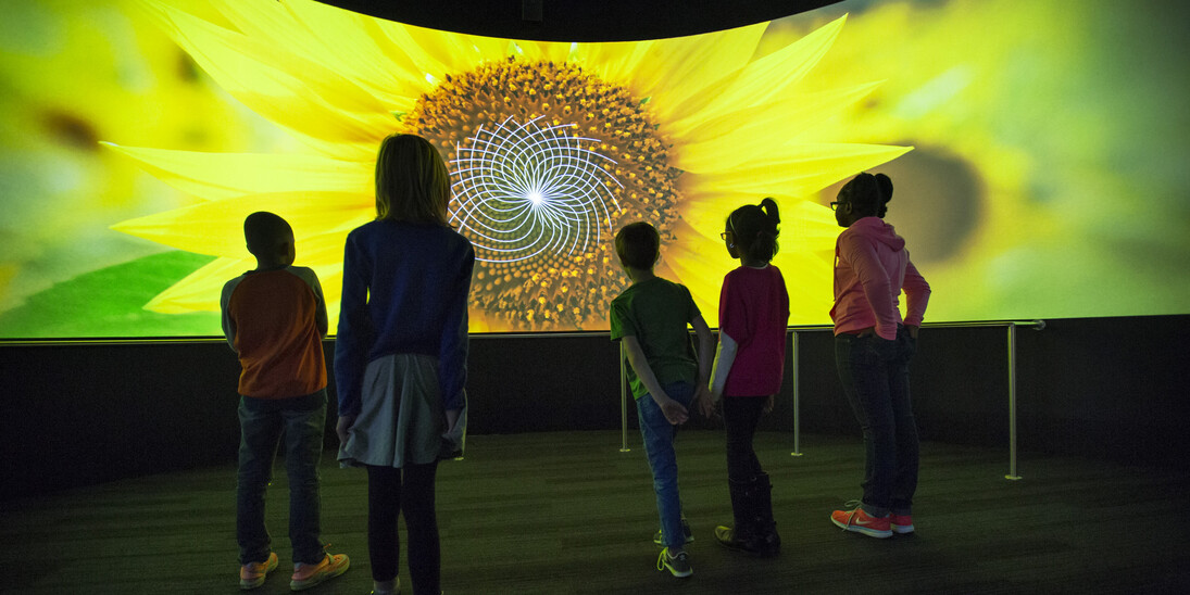 Numbers In Nature: A Mirror Maze. Courtesy of Museum of Science and Industry