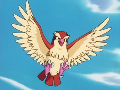 Casey's Pokemon