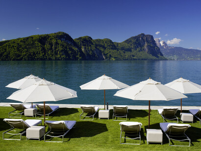 Park Hotel Vitznau, the lake