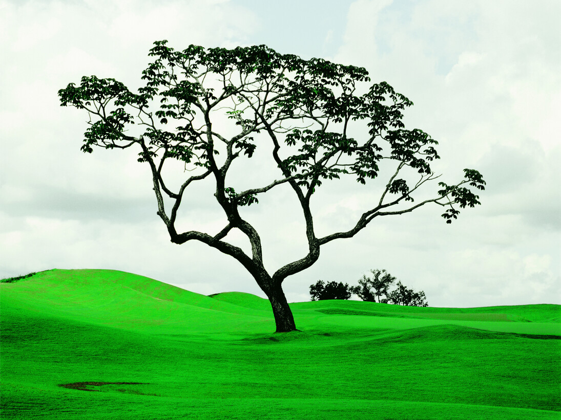 Caio Reisewitz, Goiania Golf Club II, 2011, C-print sous Diasec, 180 x 155 cm, Edition : 5 + 2EA, Courtesy Bendana I Pinel Art Contemporain & artiste