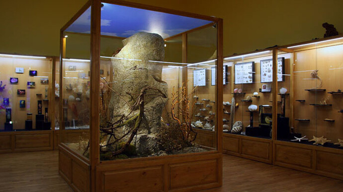 Invertebrates. Courtesy of Regional Natural History Museum of Plovdiv