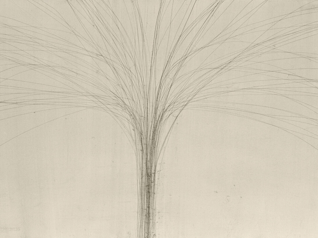 Antony Gormley, Phloem II
