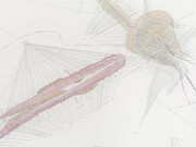 A Passion for Drawing. Courtesy of Albertina Museum