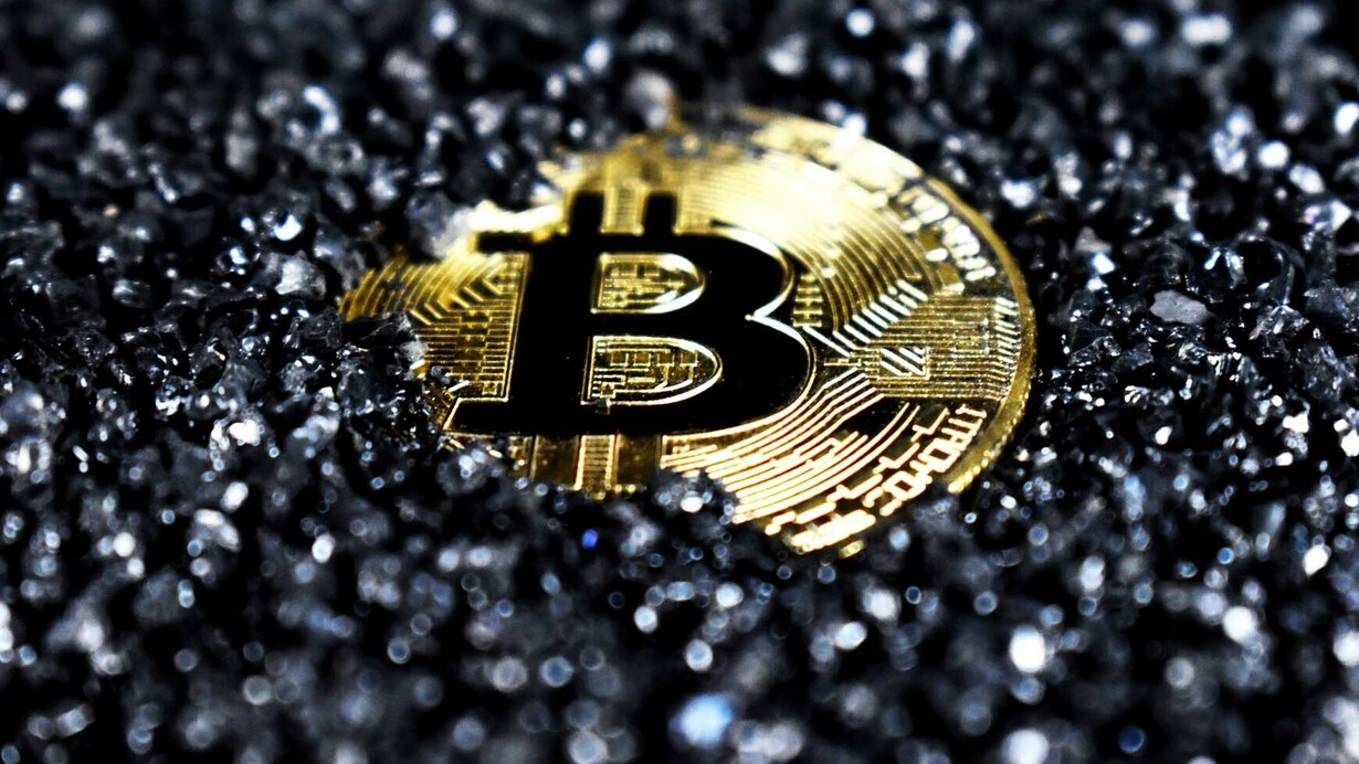 Dentro da onda virtual surgiram as criptomoedas