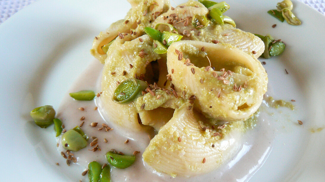 Conchiglioni bio con crema di Fave e Sorgo al profumo di semi di Anice