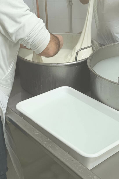 Laboratorio caseario pugliese. Da dove nasce questo successo? Provo a capire di più, recandomi, come in un rispettoso pellegrinaggio, nel regno del mio casaro di riferimento, in un laboratorio artigianale nel centro di Modugno