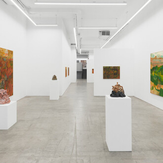 Soumya Netrabile, Field conditions, exhibition view. Courtesy of Anat Ebgi