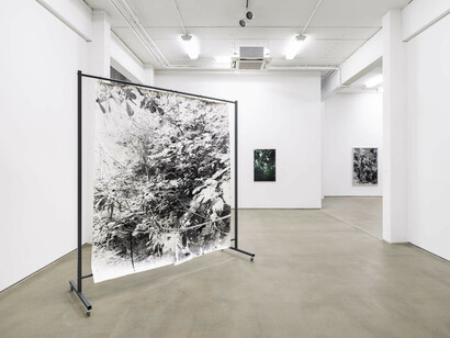 Berit Schneidereit, The interstices of this place, exhibition view. Courtesy of G2 Kunsthalle