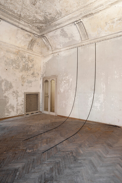 Stephanie Stein, Schadensfall, 2014, down tree wood, gouache