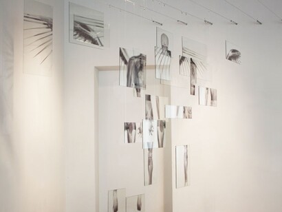 Giancarlo Marcali, Ri(e)voluzione, 2012, installazione, radiografie, vetro, cavi acciaio e nylon, cm 300x250x200