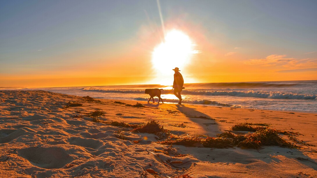 A man walks his dog along the beach as the sun sets over the horizon