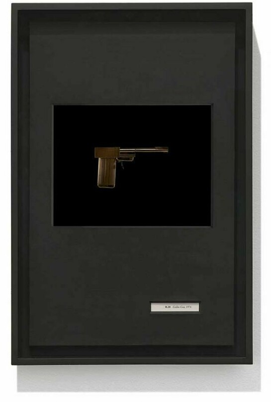 Taryn Simon, Golden Gun, 1974”, Birds of the West Indies, 2013 © Taryn Simon. Courtesy of the artist and Gagosian Gallery