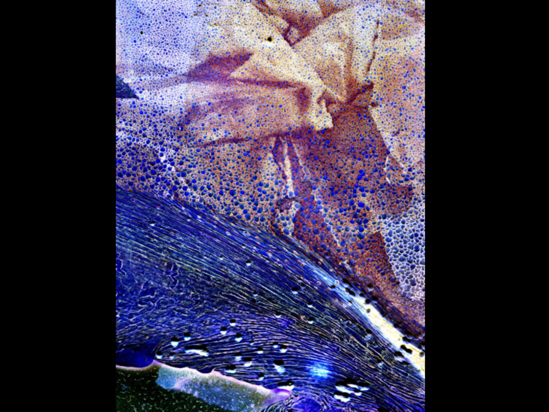Daisuke Yokota. Matter. Courtesy of Foam
