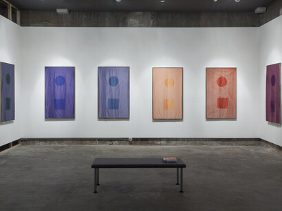 Installation view, Sam Falls, Galleria Franco Noero - in residence, 2015, Photo Sebastiano Pellion di Persano 