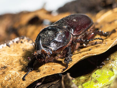 Ecogarden. Courtesy of Science Centre