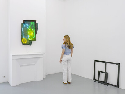 Stefan Nikolaev, The innocent eye, exhibition view. Courtesy of Michel Rein
