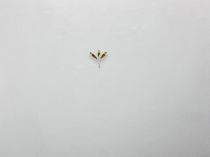 Donna Conlon, Listen to the hummingbird, exhibition view. Courtesy of Galería Espacio Mínimo