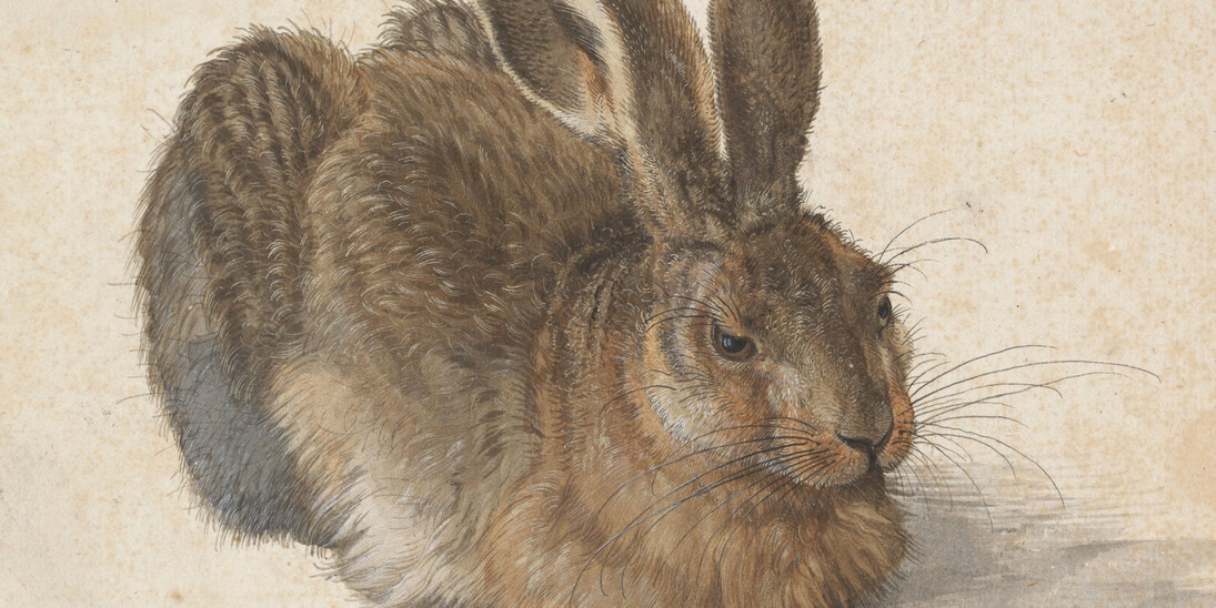 Albrecht Dürer. Courtesy of Albertina