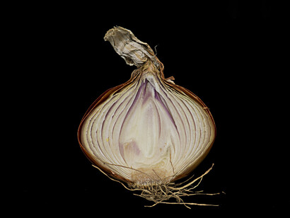 La cipolla stimola l'appetito e dona colore al viso