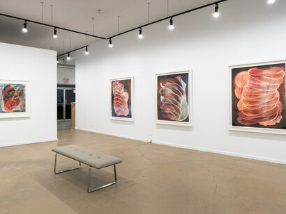 Wil Murray, Exhibition view. Courtesy of Vitrine