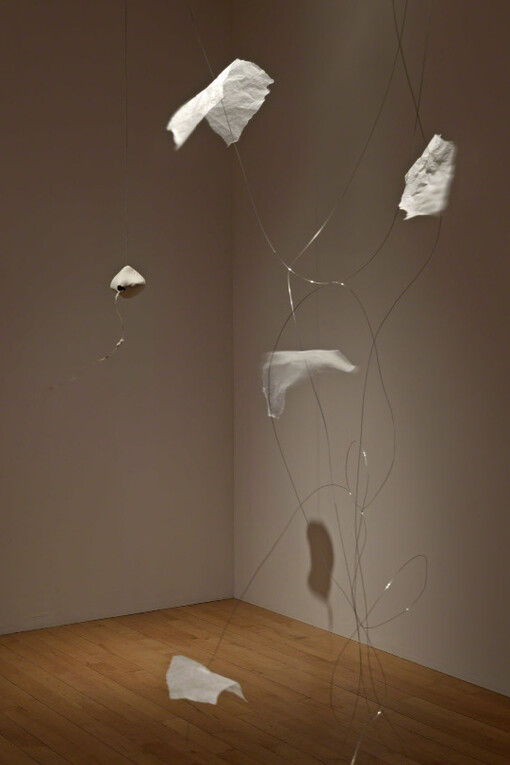 Void Weaves, Bone Scores. Courtesy of Josée Bienvenu Gallery