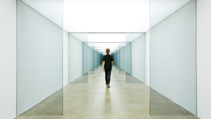 Carsten Höller. Courtesy of Museo Tamayo