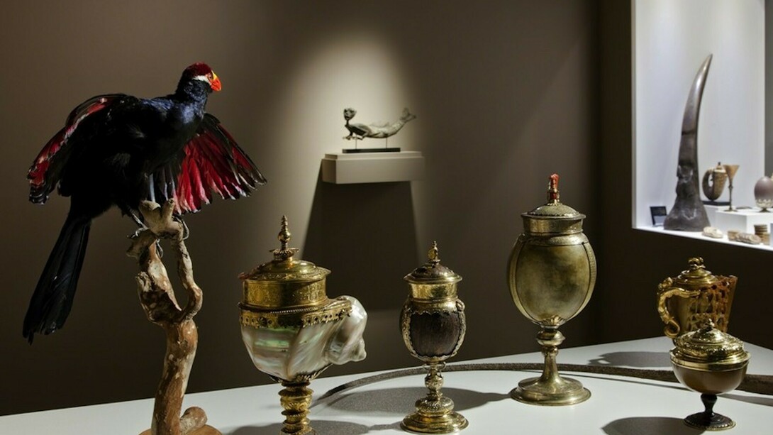 Wunderkammer Olbricht, exhibition view. Courtesy of me Collectors Room