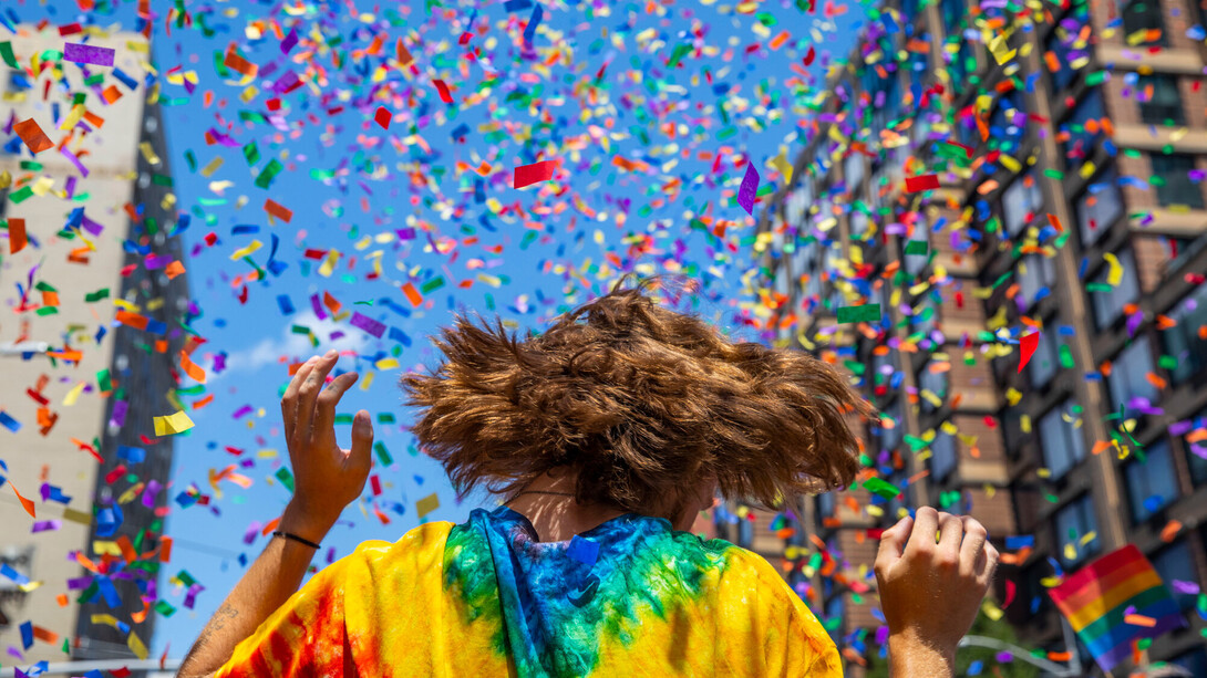 La «marcha del orgullo» es una manifestación anual cuyo objetivo principal es exhibir en público la diversidad de orientaciones sexuales y géneros, con el fin de que la sociedad se familiarice y acepte con naturalidad la dignidad de las sexualidades tradicionalmente perseguidas y reprimidas