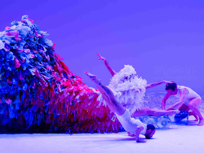 Vicenza danza in rete 2025, Chicos mambo cenerentola. Per gentile concessione del Teatro Comunale Città di Vicenza. Foto di Accentation Bruit