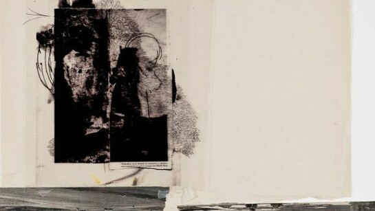 Antony, Blue Jay, n.d., Mixed media, 19.25 x 21.125 inches, 48.9 x 53.7 cm