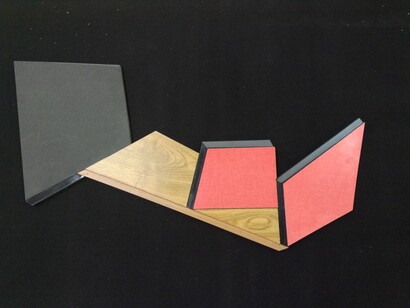 Extension(s) - The detonate(d) room
première exposition personnelle de Cécile Chaput