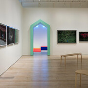 Various artists, Tender comrade, exhibition view. Courtesy of White Rabbit Gallery