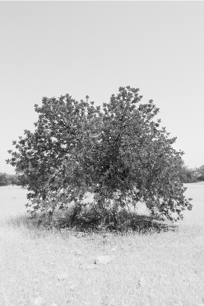 Niklas Goldbach, Everything in its right place (11), 2013, 8 de 78 Photos sur papier Photo-Archive, 77,5 x 55 cm, Edition : 3, Courtesy Artist & Bendana | Pinel Art Contemporain