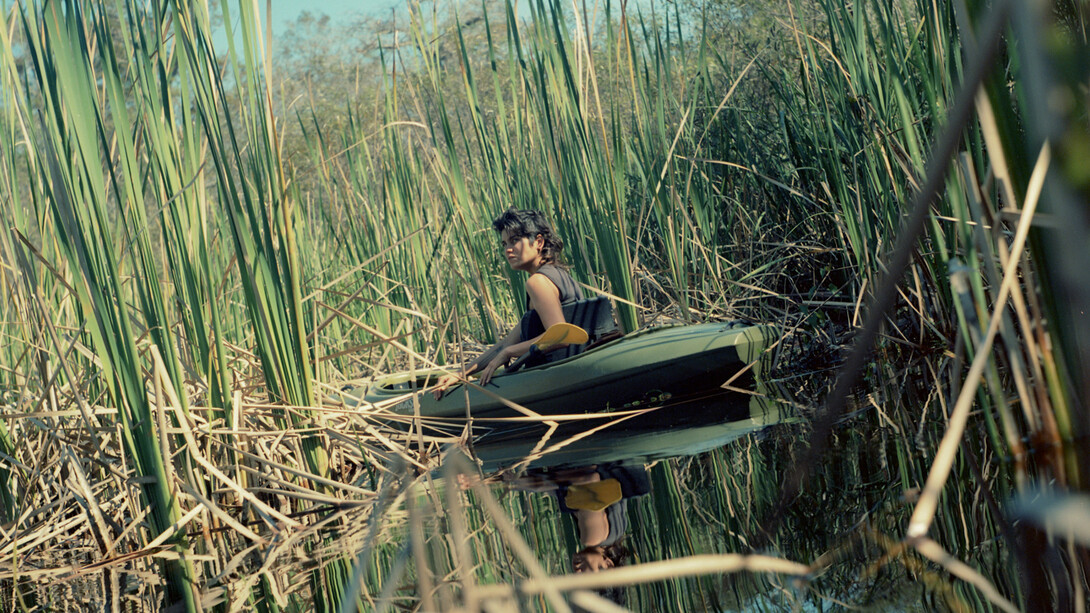 Gesi Schilling, River of Grass, Turner River, Big Cypress National Preserve, FL