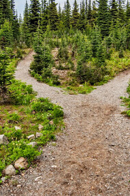 Navigating the crossroads between childhood and adulthood, we find ourselves towing the line between the daunting reality of responsibilities and societal expectations and the longing for childhood protection, we're yearning for the carefree days of sandcastles and muddy puddles
