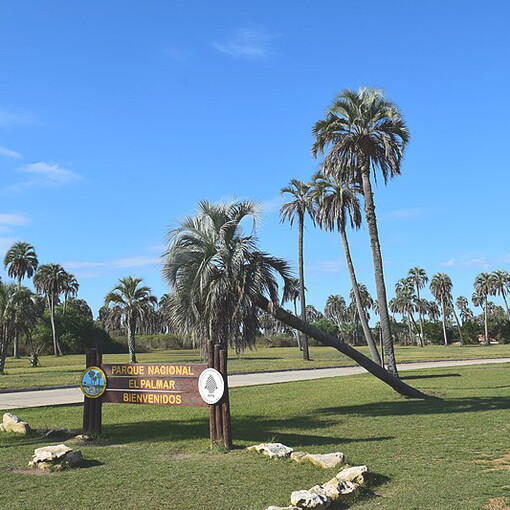 Parque Nacional El Palmar, Entre Ríos, Argentina. En el país hay invaluables recursos naturales que están en peligro frente al avance del capitalismo