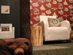 Discovery Basecamp. Courtesy of Carnegie Museum of Natural History