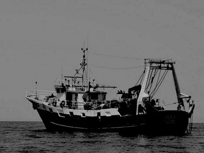 Gli “stranieri” usano metodi di pesca non sostenibili