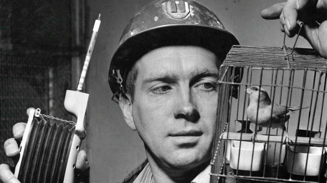 A caged canary about to sacrifice his existence for the sake of Americans