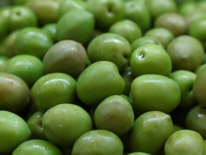 Olio di Oliva