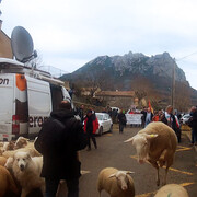 Angus-Hughes Gallery