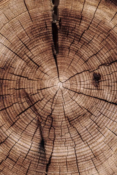 Tronco di un albero: un tempo in modo proficuo, funzionale e con risultati davvero pregevoli, gli oggetti che erano stati costruiti in legno o metallo potevano essere ritrasformati e riadattati quasi all’infinito