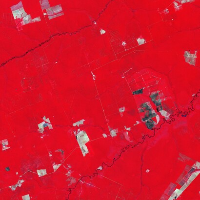 Detalle de imagen satelital tomada por el Observatorio de la Tierra de la NASA en 2001 para dar cuenta del proceso de deforestación en el Mato Grosso