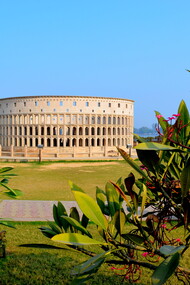 Colosseum of Rome  