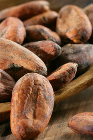 Fave di cacao